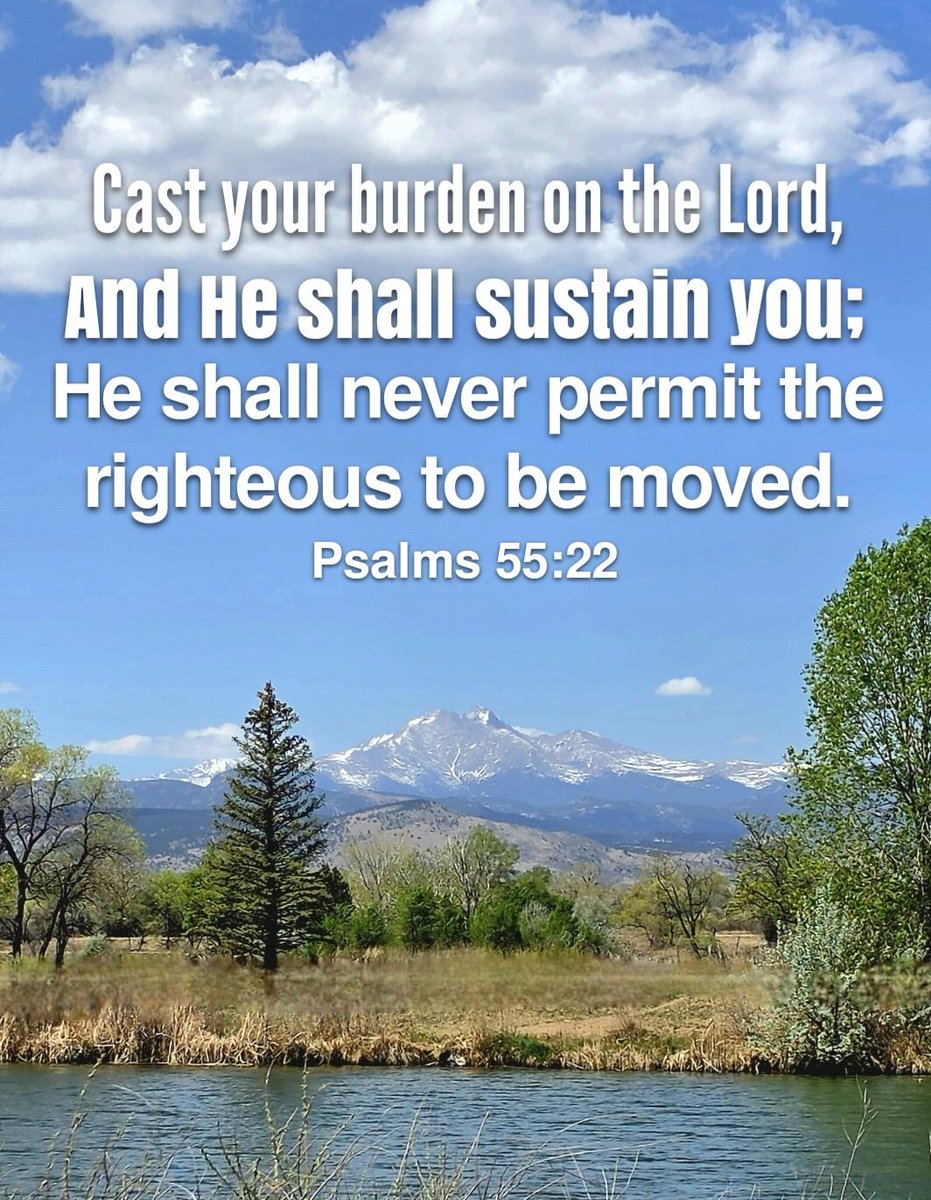 Jeanne Harrington tweet media