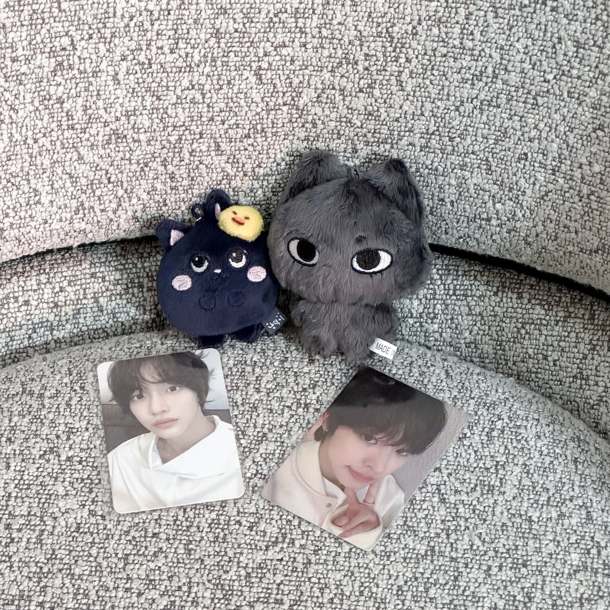 🐶ིྀ . . ♥︎ tweet media