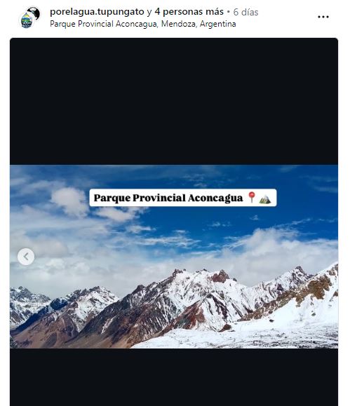 ECOLógicos Unidos 🇦🇷💙 tweet media