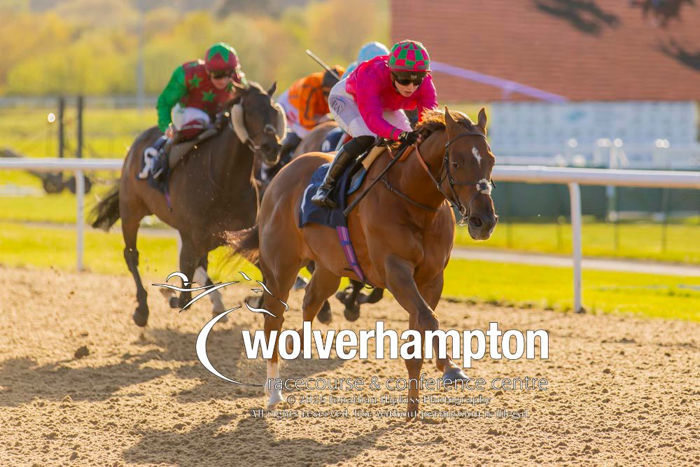 Wolverhampton Races tweet media