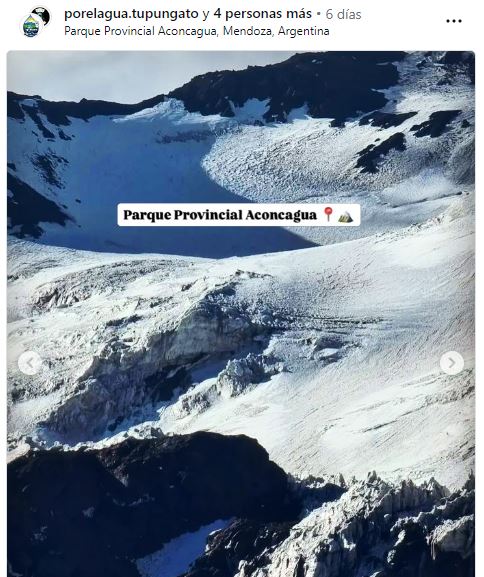 ECOLógicos Unidos 🇦🇷💙 tweet media