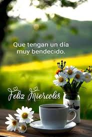 Javier Aranaga S. tweet media