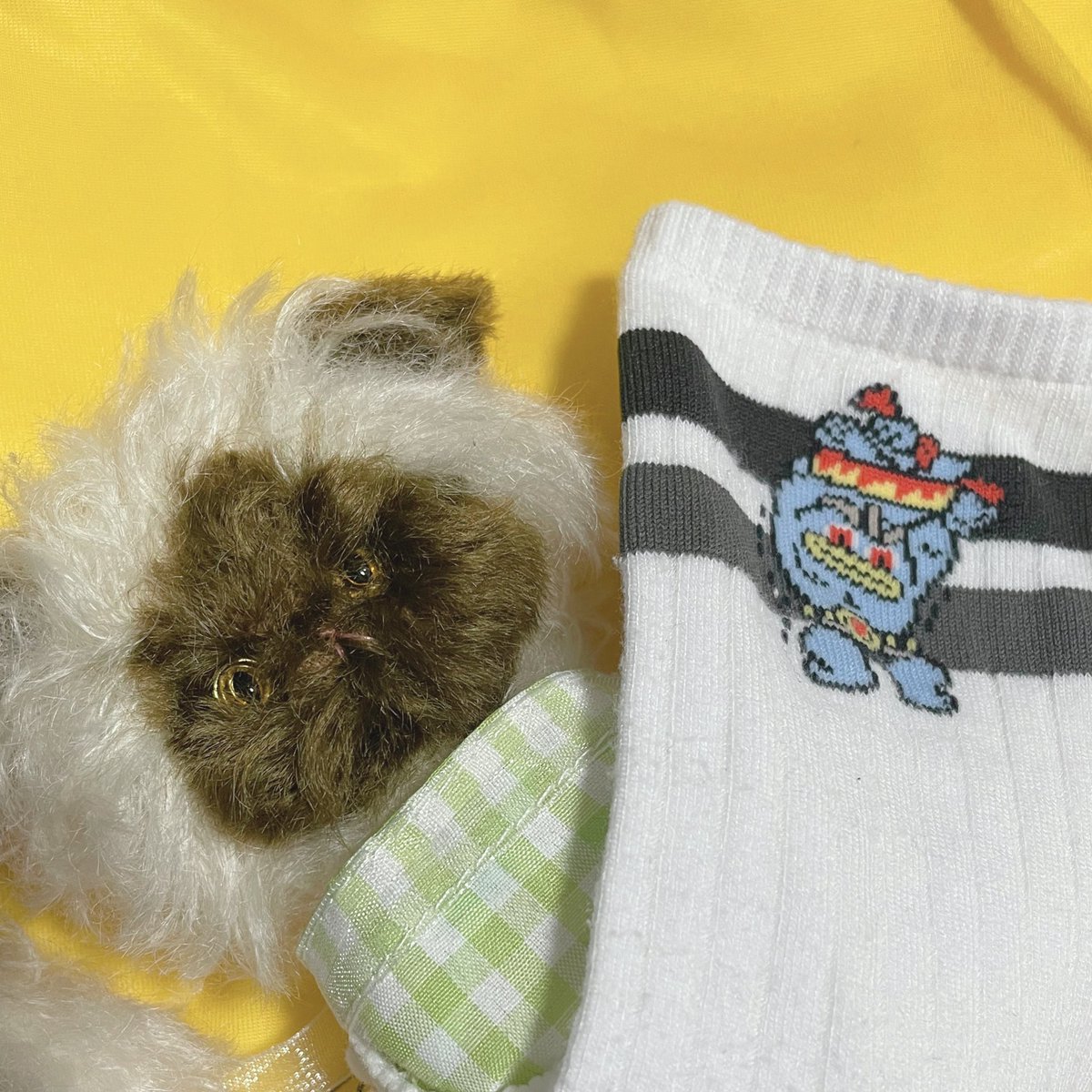 こむgi tweet media