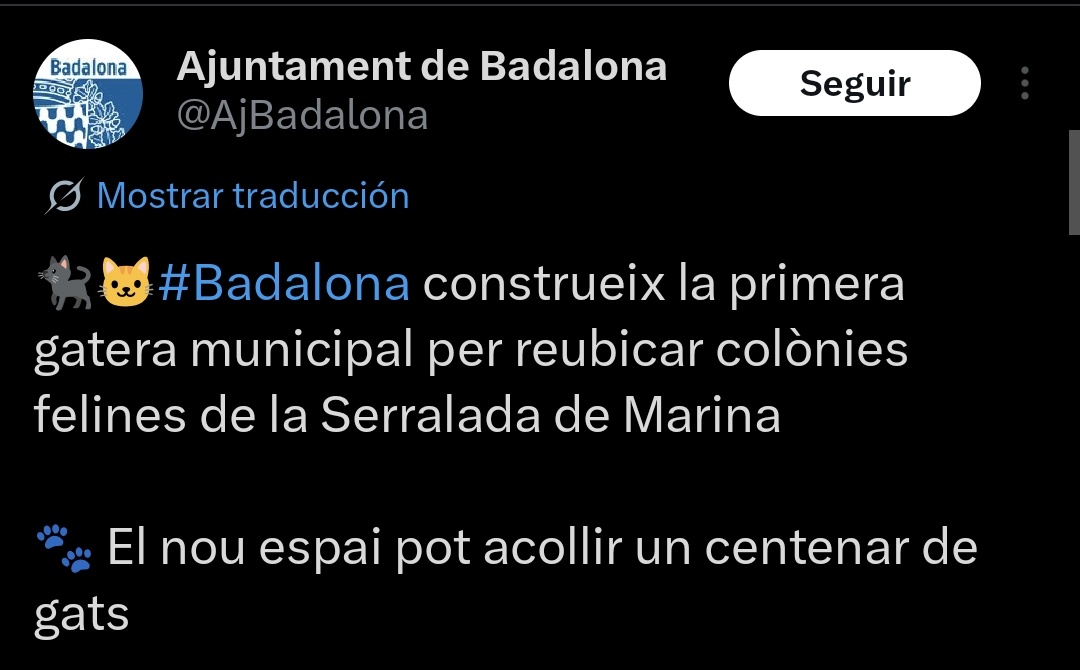 Nei Nei 🐱 De la colonia tweet media