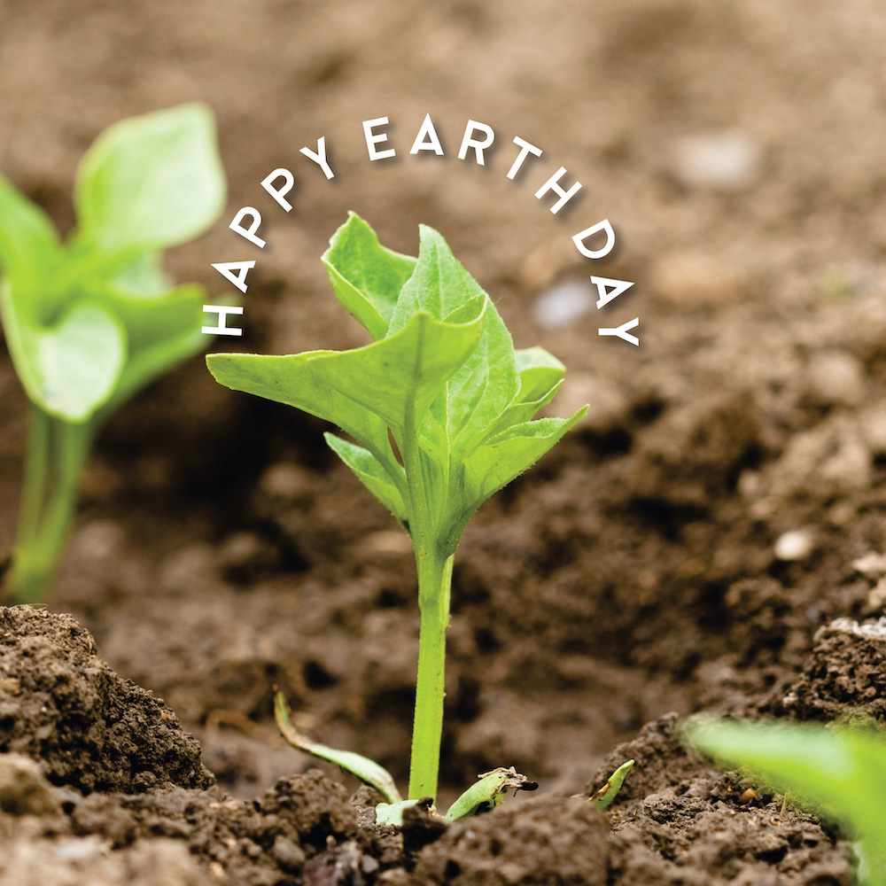 C21Isa's tweet image. Earth Day is here! How are you planning on spending the day?
#IsaParsons #realtor