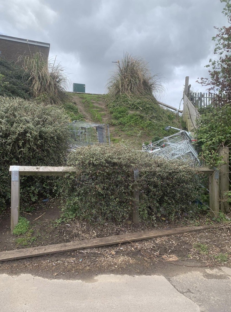 WhatTheHell’sGoingOn 🇬🇧 tweet media