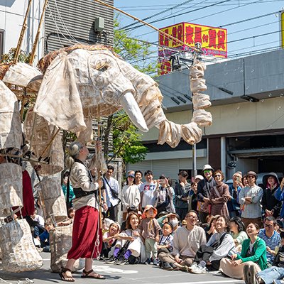 sigh_desa's tweet photo. 4月25〜26日の『高円寺びっくり大道芸』にDctpeppers Theatreの白糸恩こと巨大象パペットの操演として出演します。

子供連れでも、観劇した事がない方でも楽しめる作品ですので気軽にお越し下さいませ❗️ https://t.co/DUHkMR5BvM