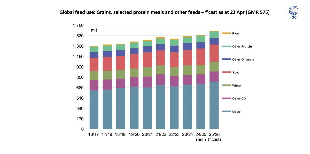 IGCgrains's tweet image. The next #GMR will include a market focus on the global use of #grains in animal #feed. Uptake in 2025/26 is forecast to rise for the third consecutive year, to a new peak, buoyed by expanding #meat consumption in parts of #Asia and #Africa.