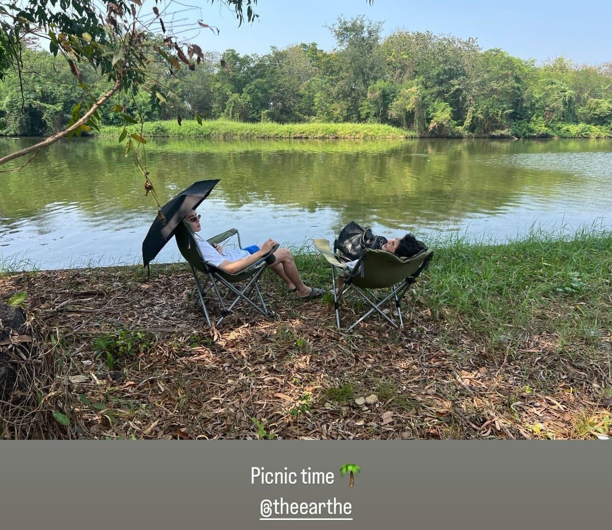 dolly ⋆ tweet media