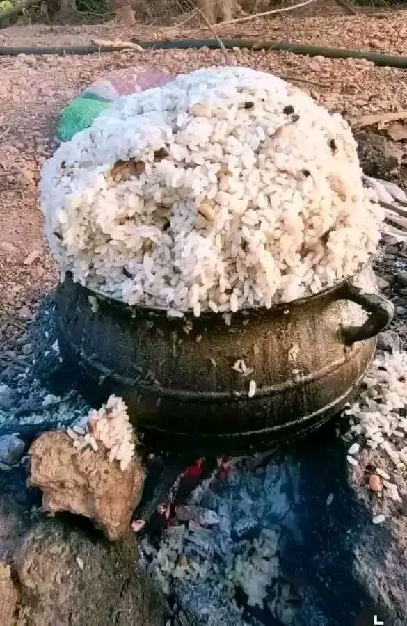 Nourdine Officiel 🦅 tweet media