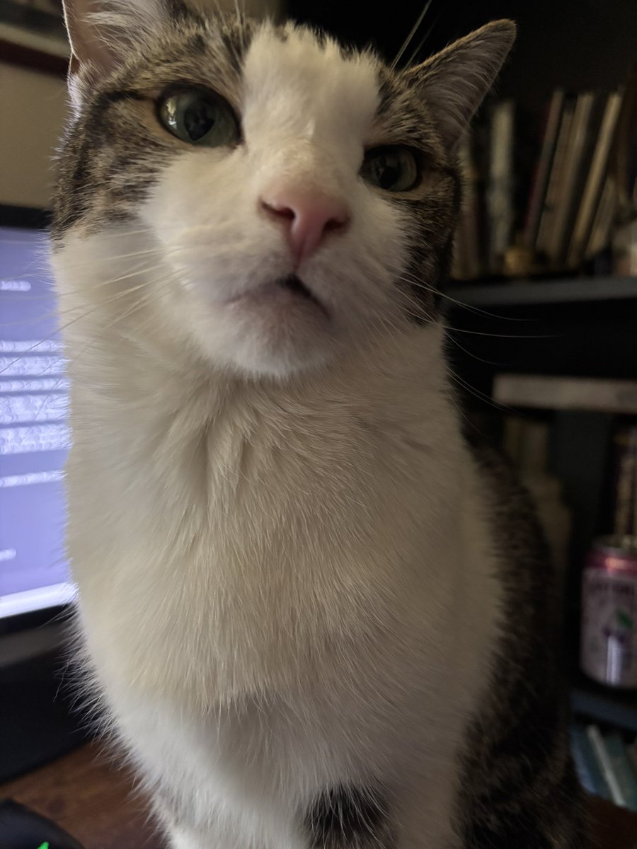 🐭Max Thompson Jr's Wife🐭 tweet media