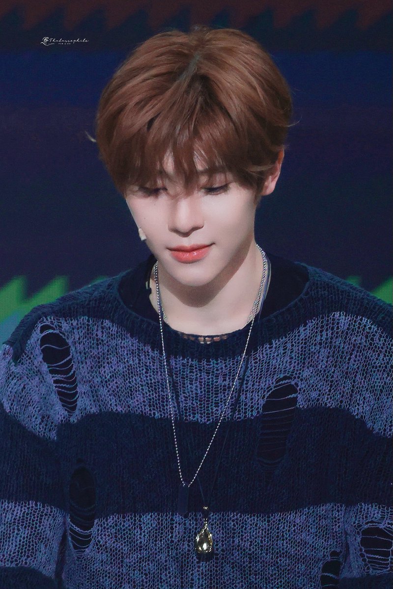 Thalassophile tweet media