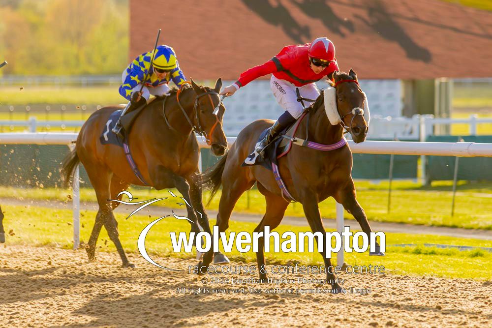 Wolverhampton Races tweet media