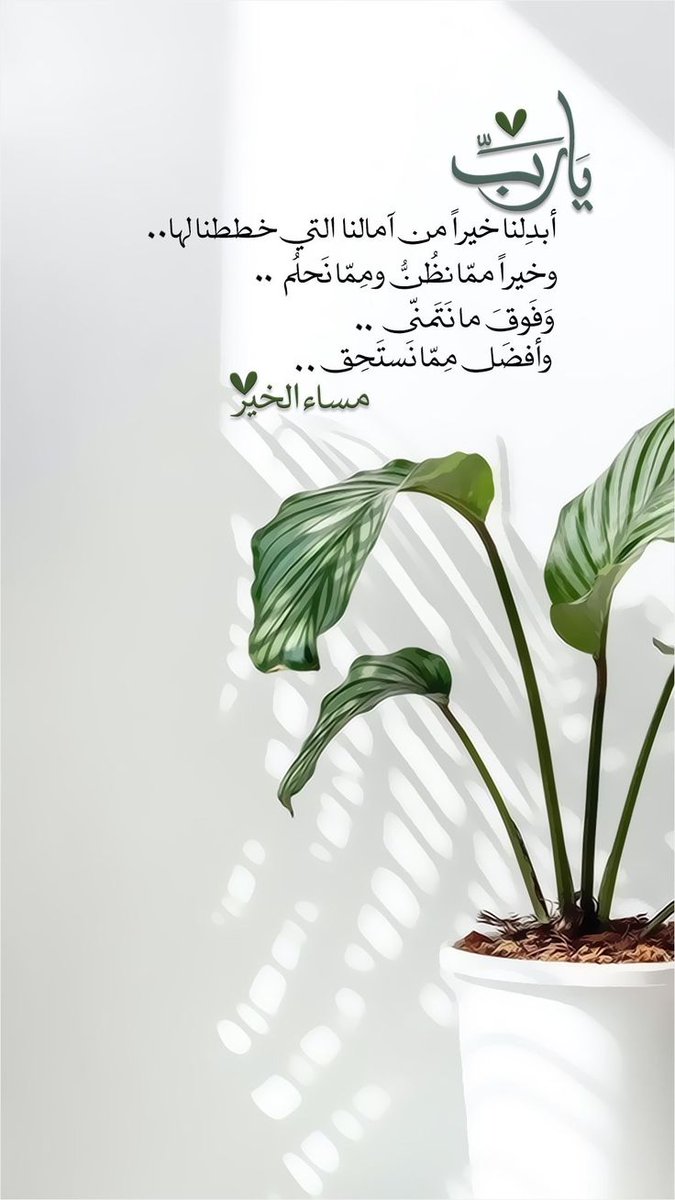 ؞ tweet media