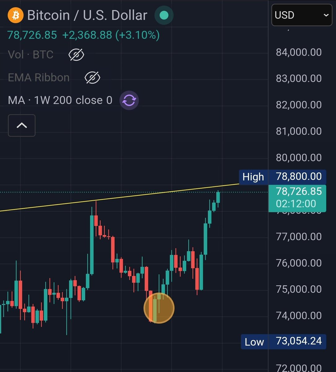 ₿TC ℹ️nvestor 🌴 tweet media