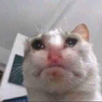 ⛅️ 𝐜𝐞𝐬𝐬. tweet media