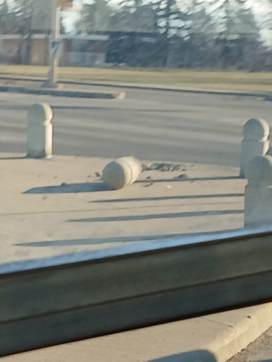 stephchd's tweet photo. @WorldBollard A moment of silence for this fallen comrade please. https://t.co/N90UQMfGP9