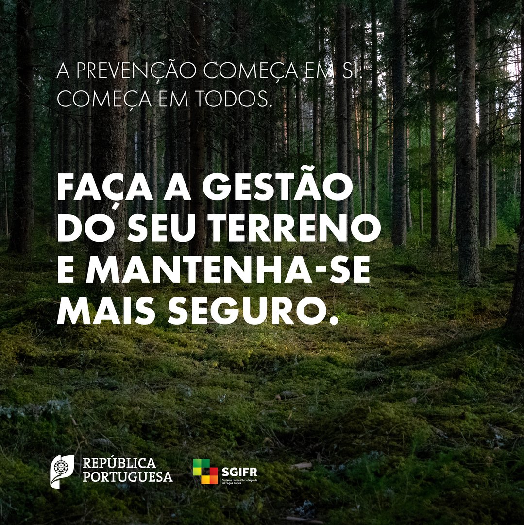 Autoridade Nacional de Emergência e Proteção Civil tweet media