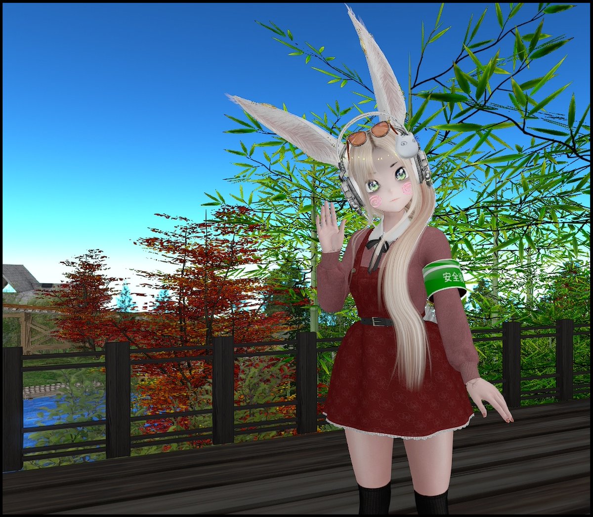 Dorothy Magic tweet media