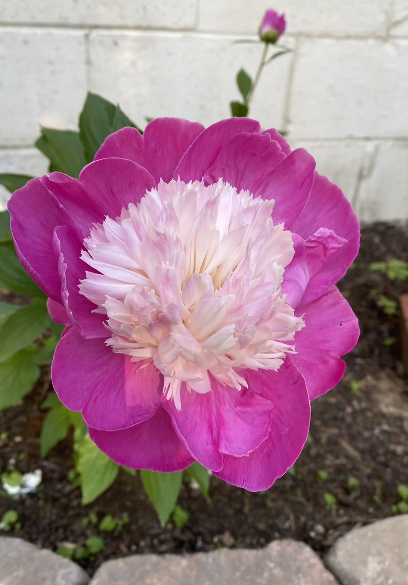 Kelly Higgins (she/her) tweet media