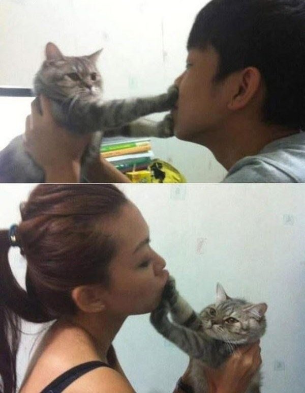 Tio Felino (Leo) tweet media