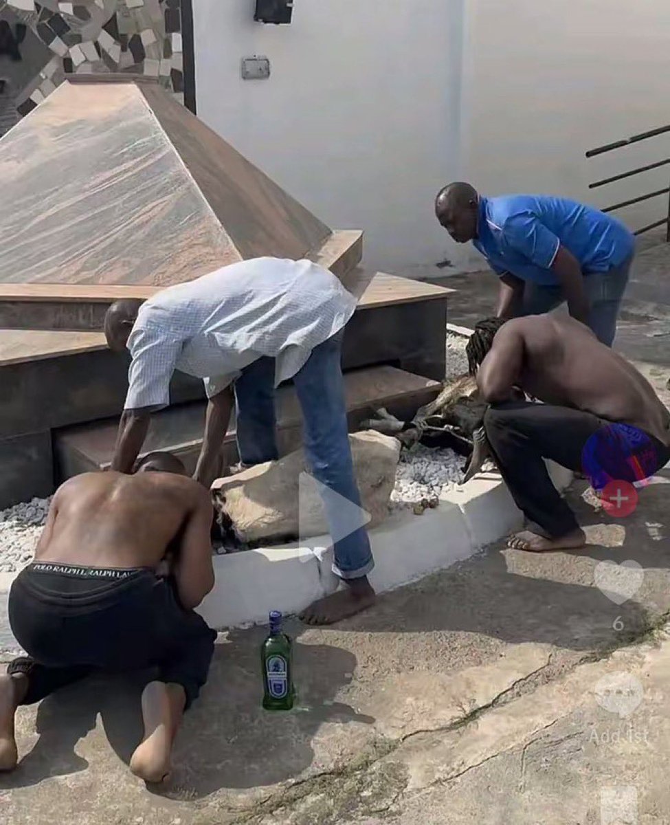 STARBOY GUCCI🖤🦉🖤 tweet media