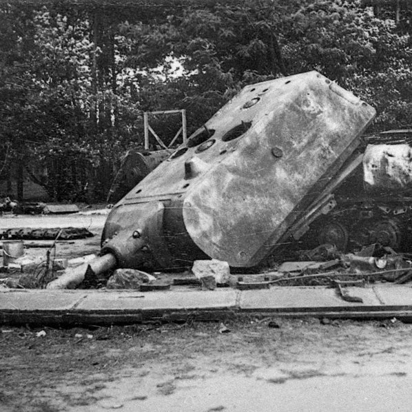 Tank Archives tweet media