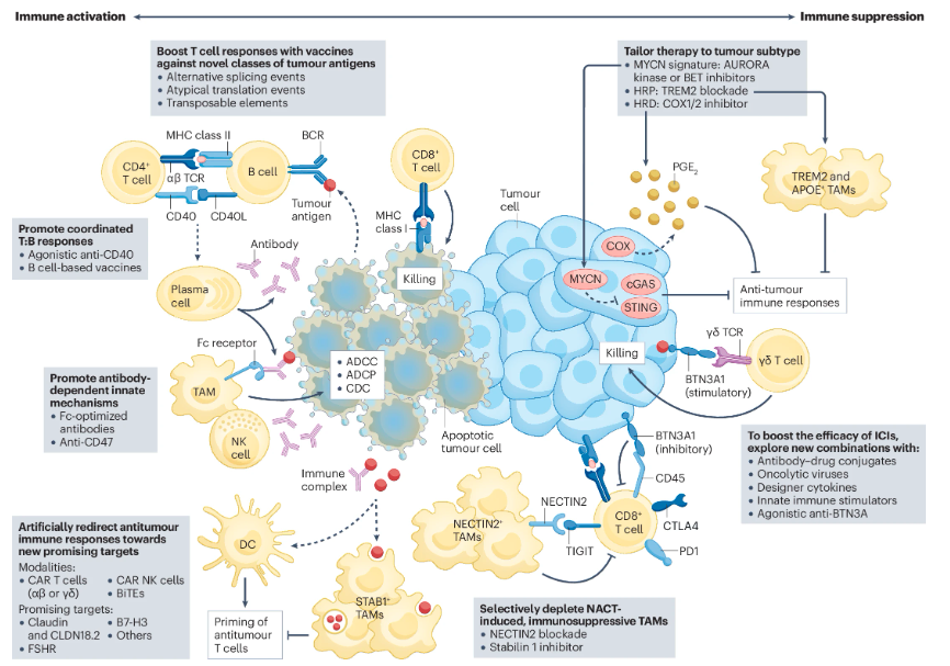 Nature Reviews Cancer tweet media