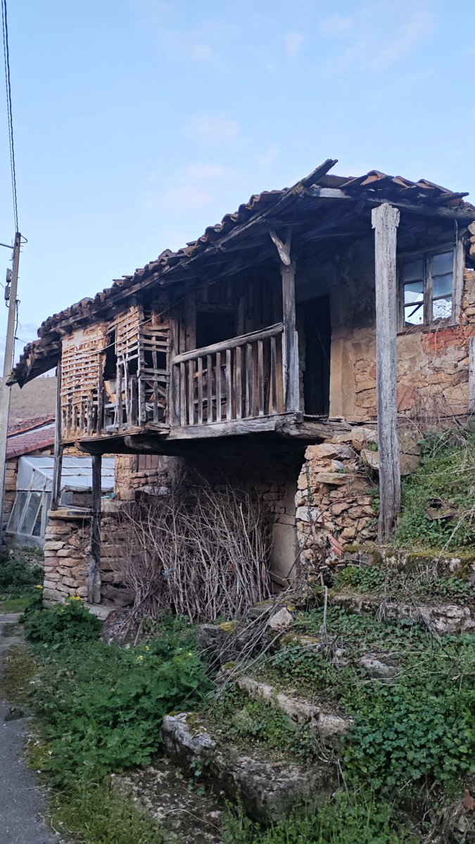 carlos 💢 tweet media