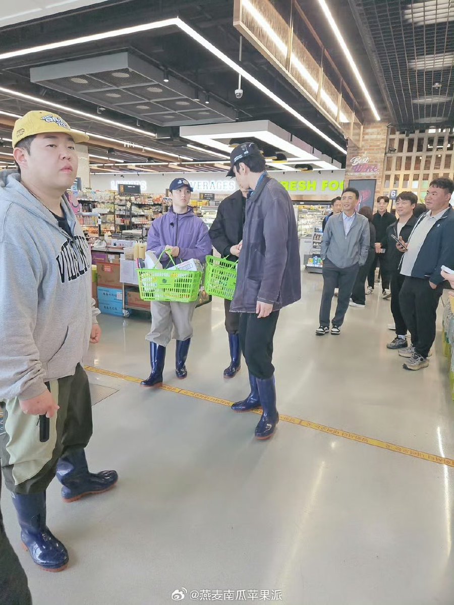 doh_little duckling tweet media