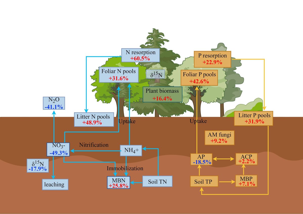 Global Change Biology tweet media