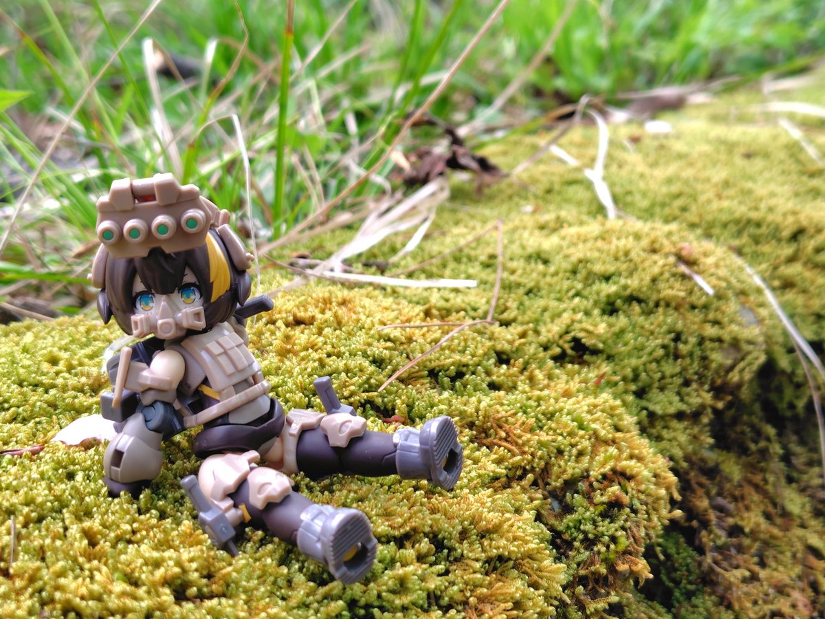 カロリック tweet media