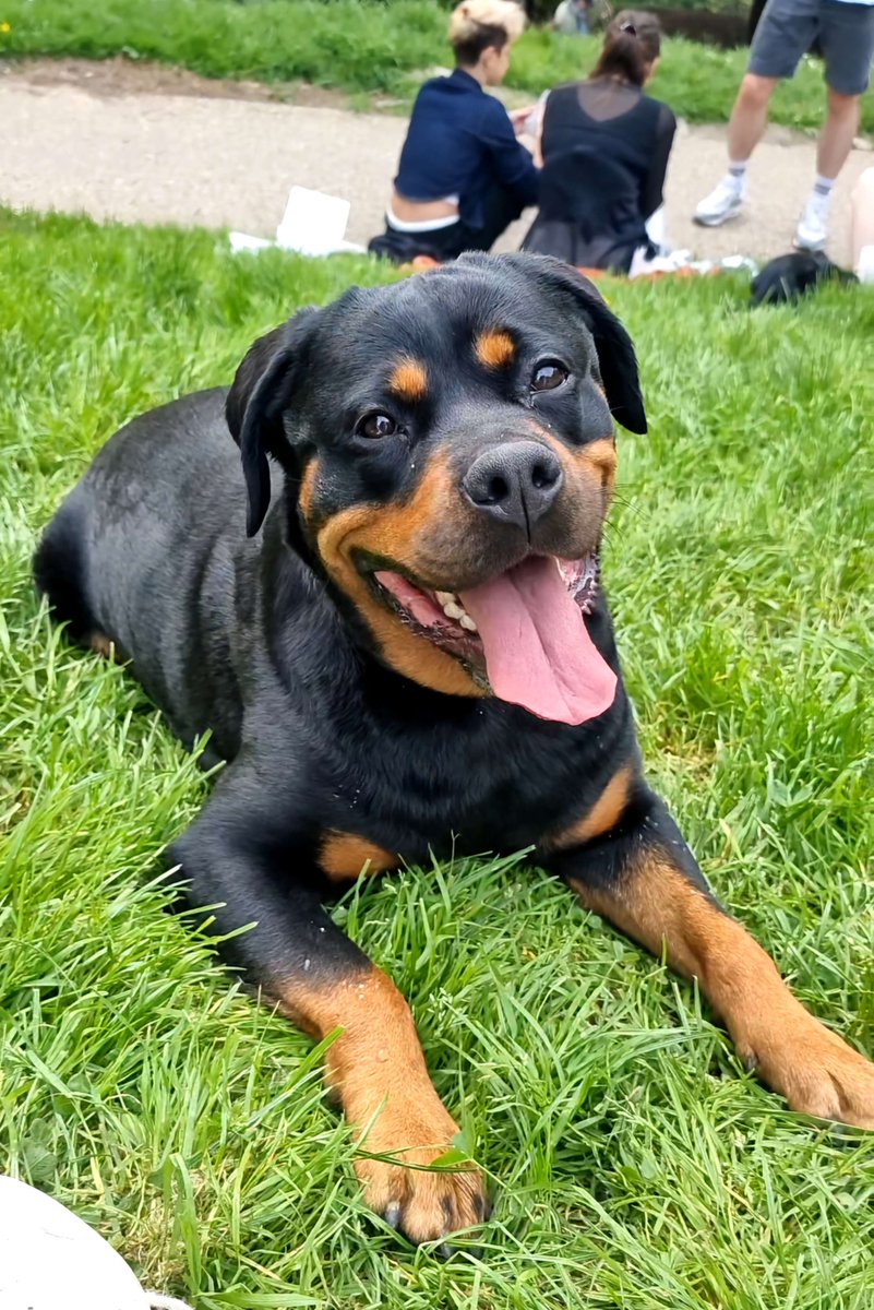 Ruby Kon tweet media