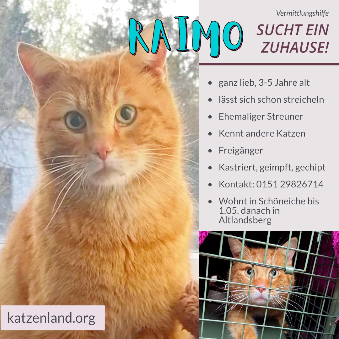 Katzenland tweet media