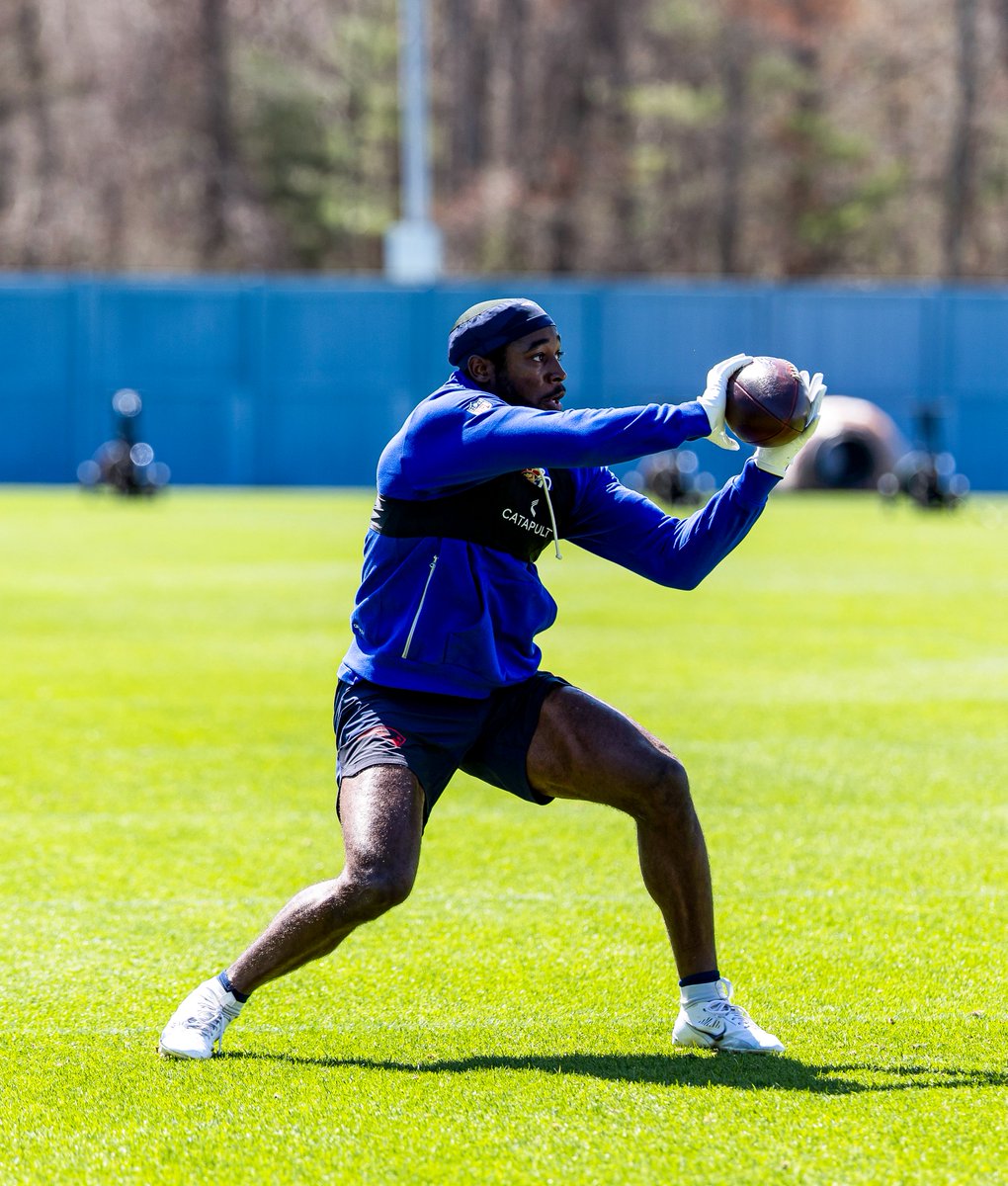 New England Patriots tweet media