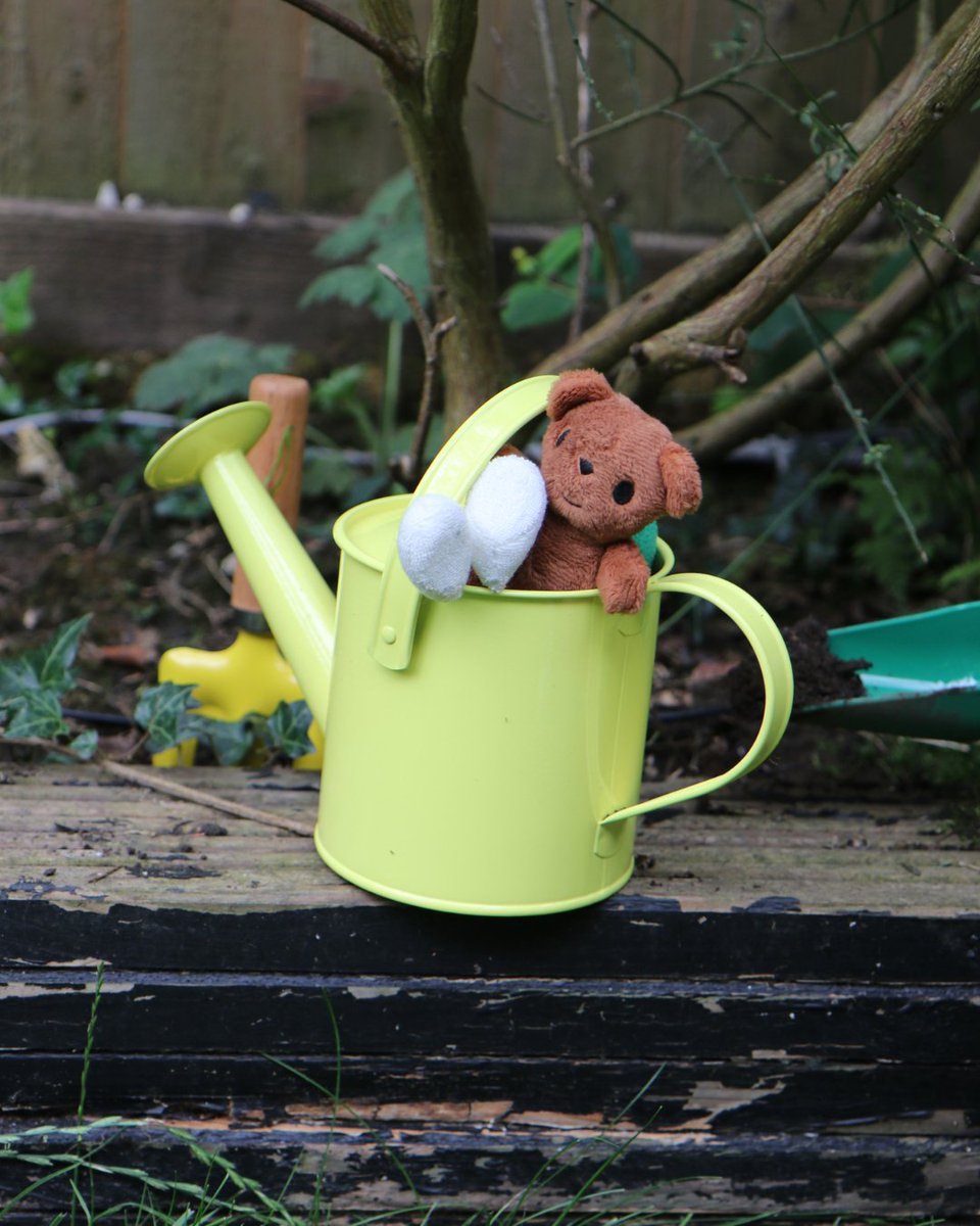 Green Bean Collection tweet media