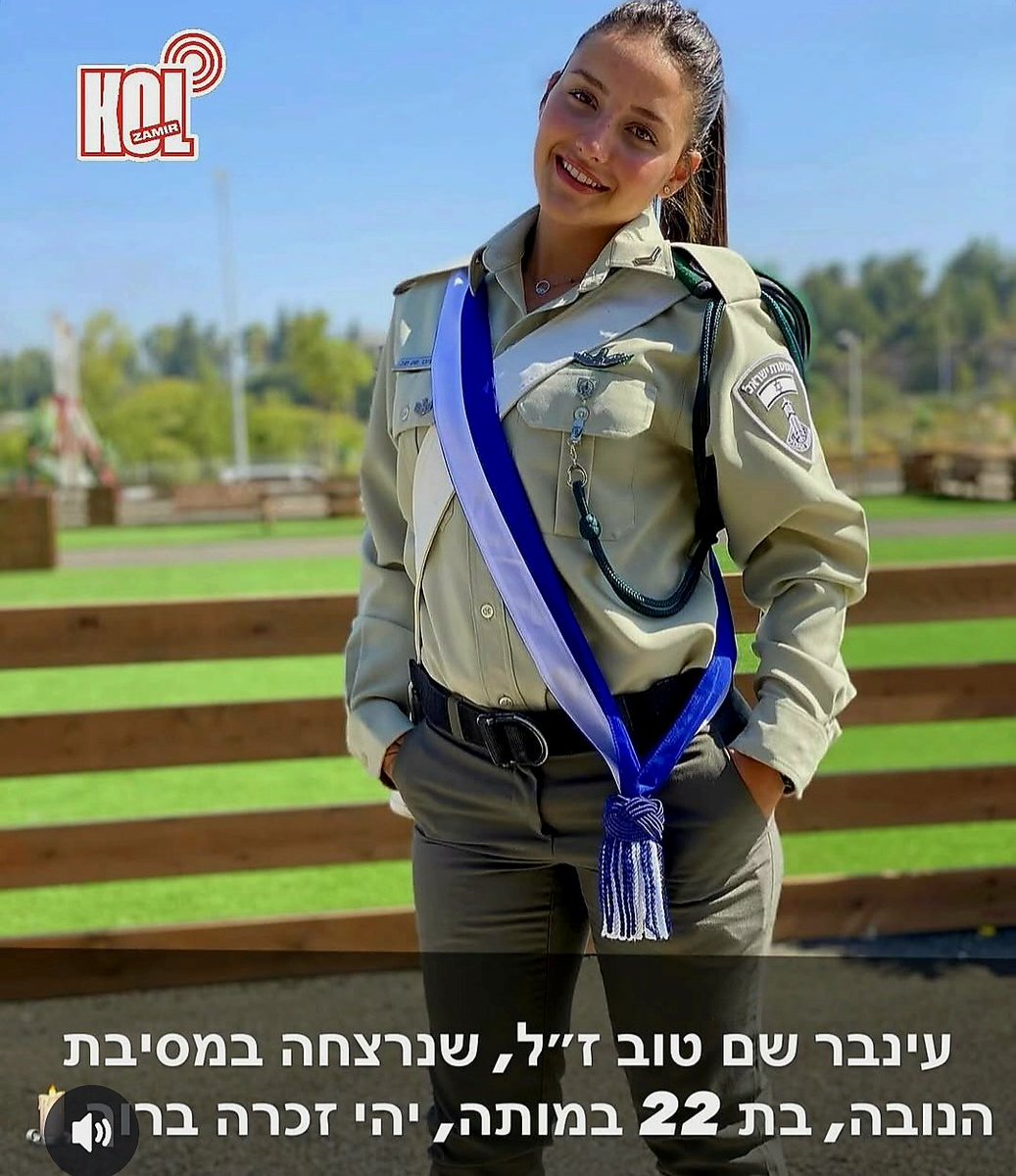 Magi Magi tweet media