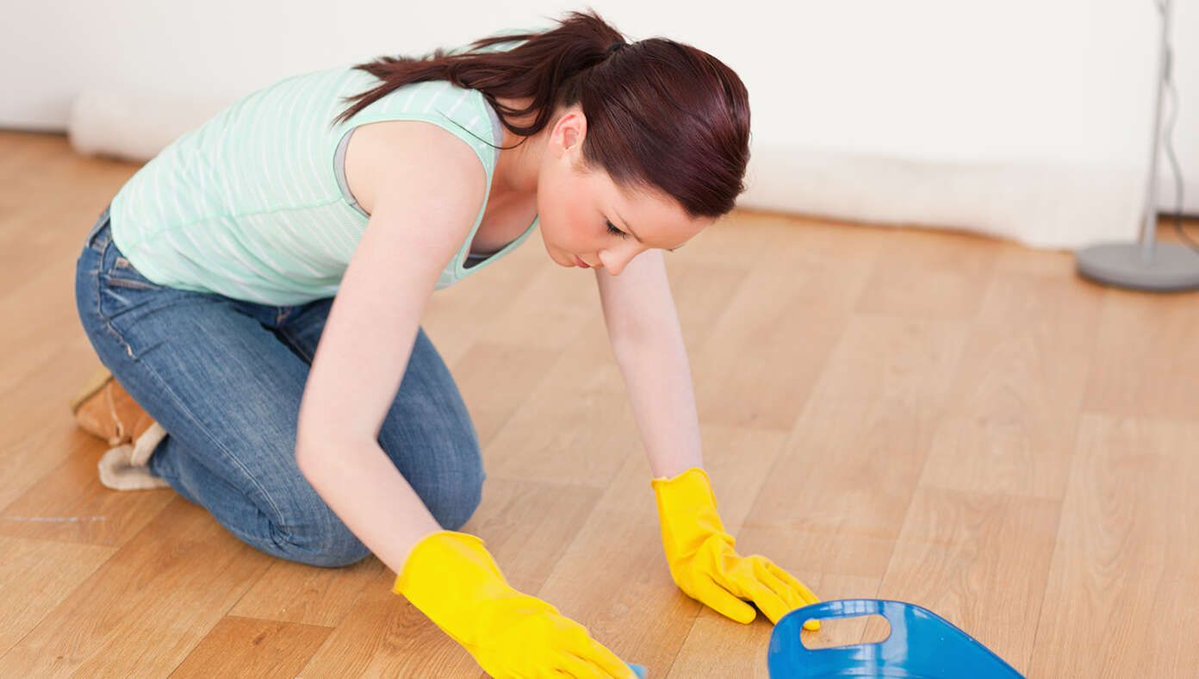 The Babylon Bee tweet media