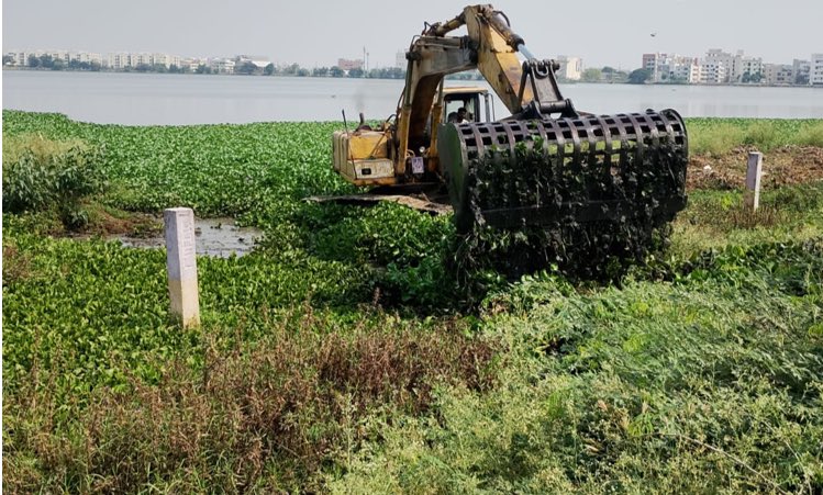 sudhakarudumula's tweet image. Thanks to Srijana IAS and @CMC_Offcl for starting work at Kamuni Cheruvu at Moosapet to give relief from Mosquitoes. A herbicide was sprayed to kill water hyacinth. @GummallaSrijana please instruct your staff so that they do it till the weed is dead and removed.

#Hyderabad