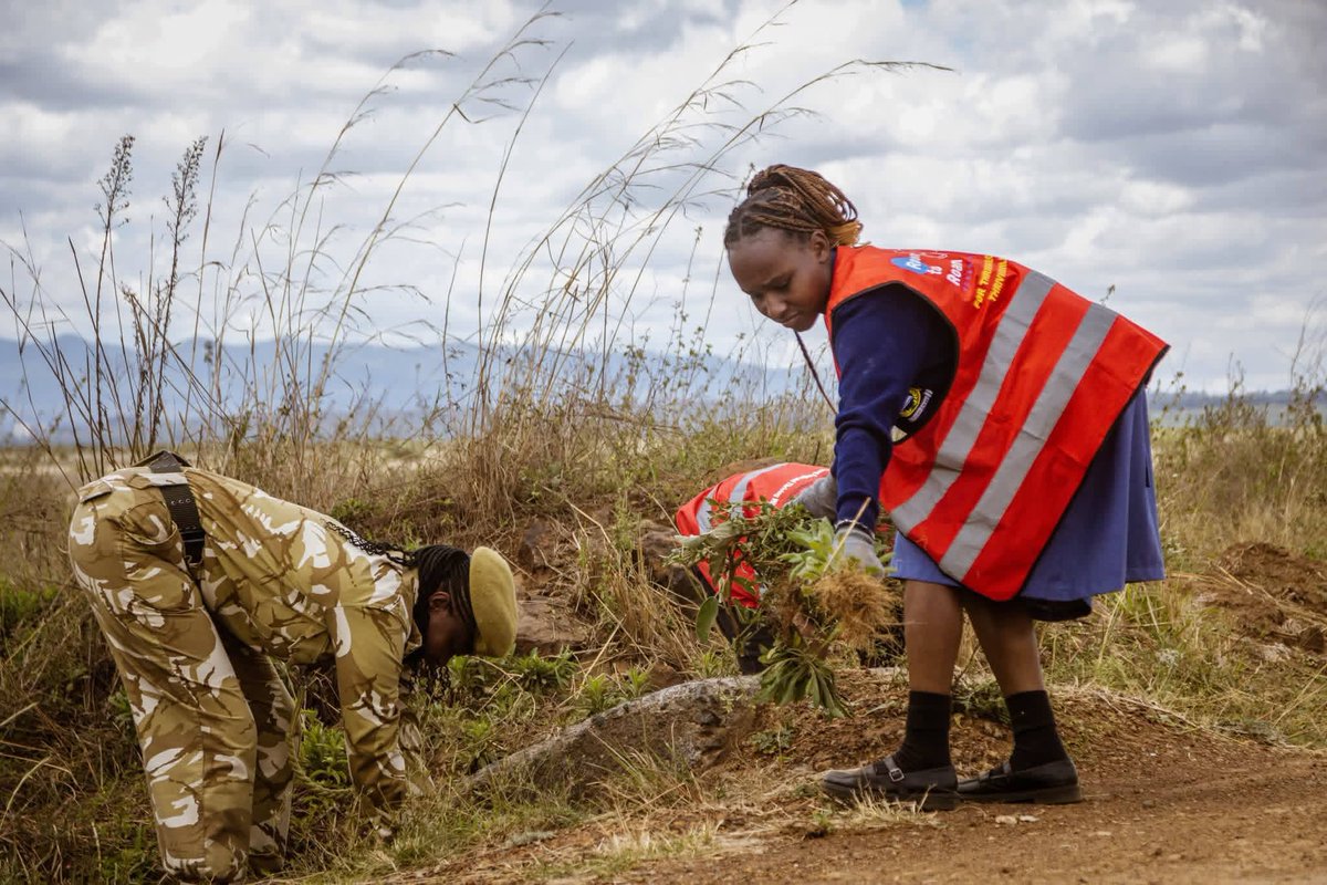 JD Orengo Mtetezi tweet media