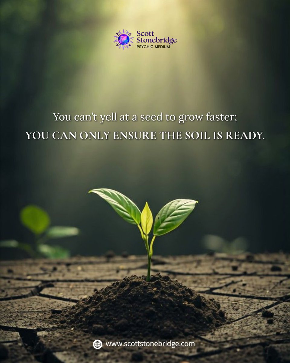 PsychicScottUK's tweet image. Trust the timing of your life. 🌱
Nature doesn’t rush, yet everything unfolds as it should. You can’t force growth, only nurture the environment.
#TrustTheProcess #StayConsistent #GrowthMindset #PositiveEnergy #Manifestation #DailyMotivation