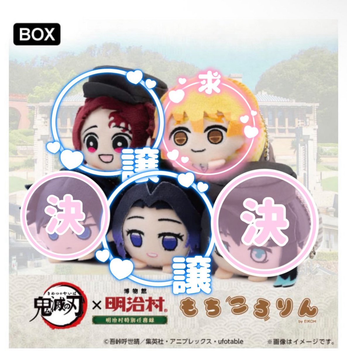 たま🐤初回プロカ必読 tweet media