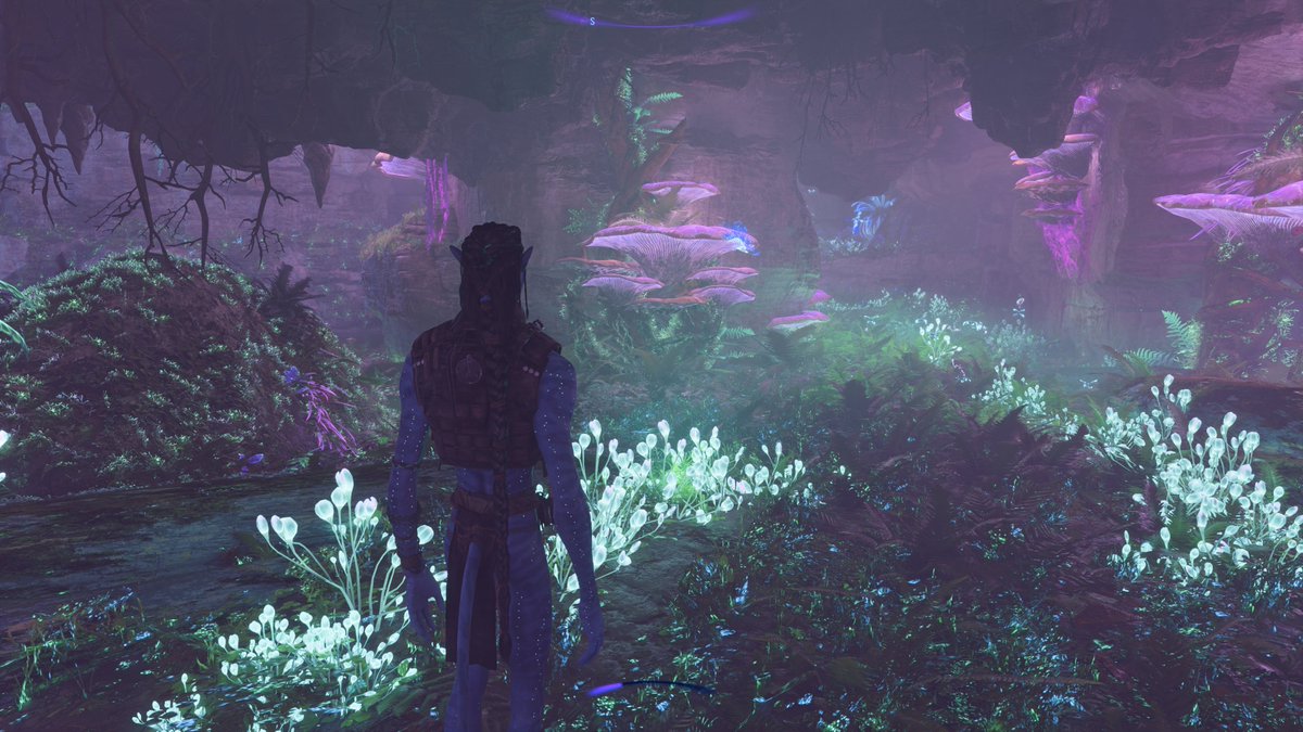 方舟 Mitchell.O tweet media