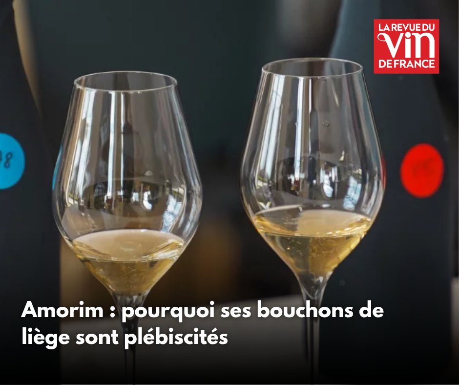 LaRVF_mag's tweet image. 🍇Une expertise illustrée avec efficacité lors des masterclasses successives de l’AMORIM Tour depuis 2024.
tinyurl.com/yc2c2vd4
En #partenariat avec Amorim