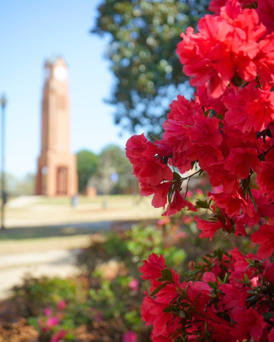 Columbus State University tweet media