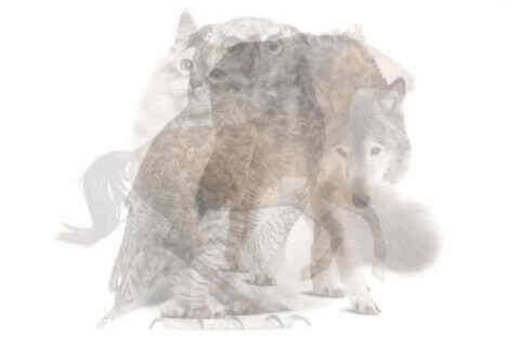 أوراق أدبية tweet media