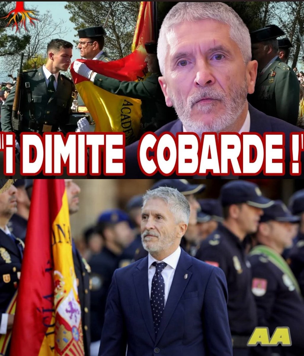 María Estévez 💚🇪🇦 tweet media