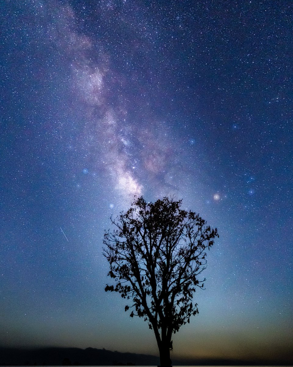 Ujwal Puri // ompsyram.eth 🦉 tweet media