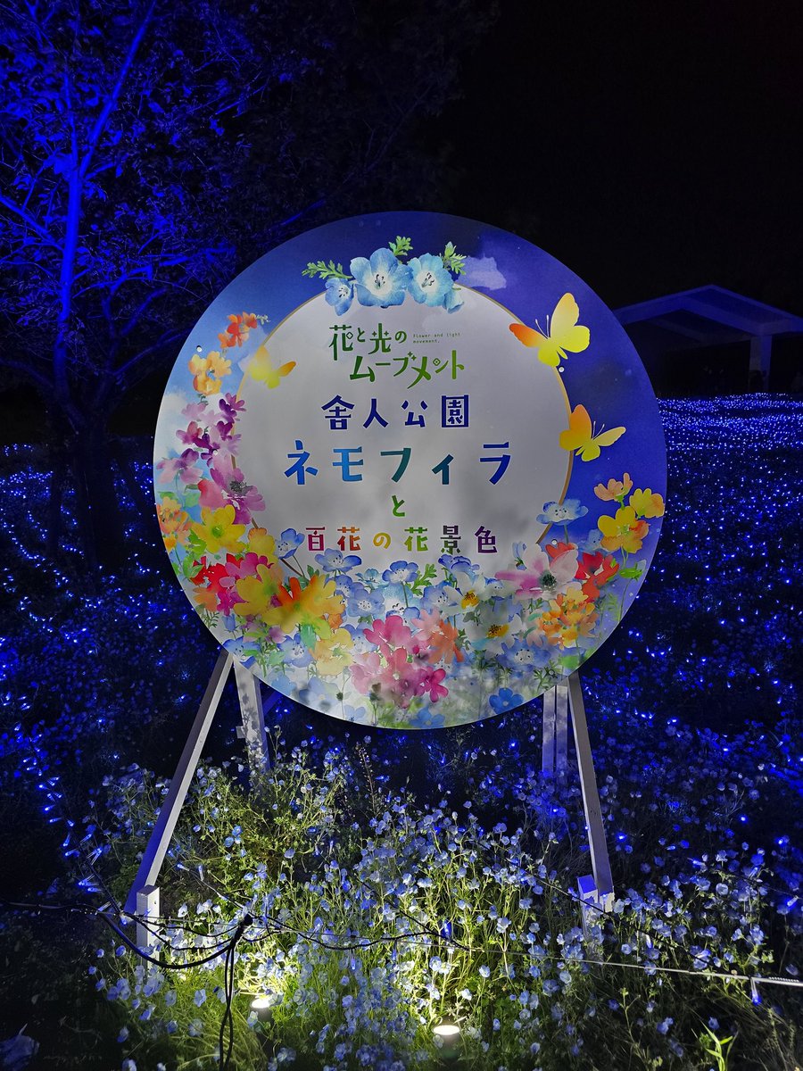 Sae_0102_F's tweet photo. 初ネモフィラ💠

#舎人公園 https://t.co/A9sIUxIteB