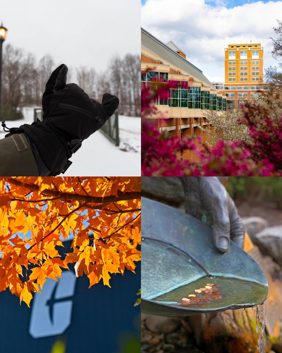 UNC Charlotte Alumni 🤙 tweet media